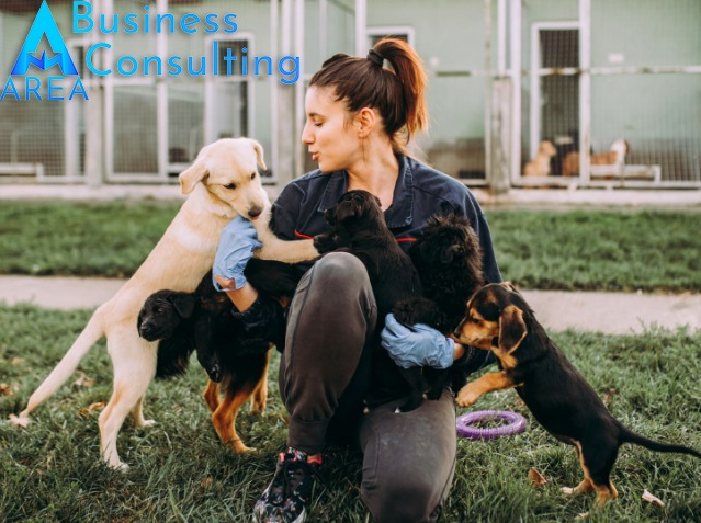 Doggy Daycare